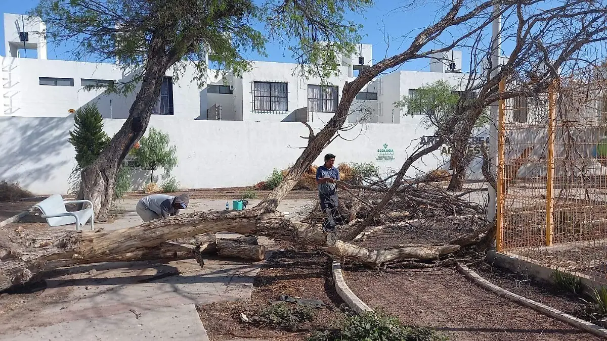 2c3cac36-f6cc-4321-9361-bd175e2b12cc