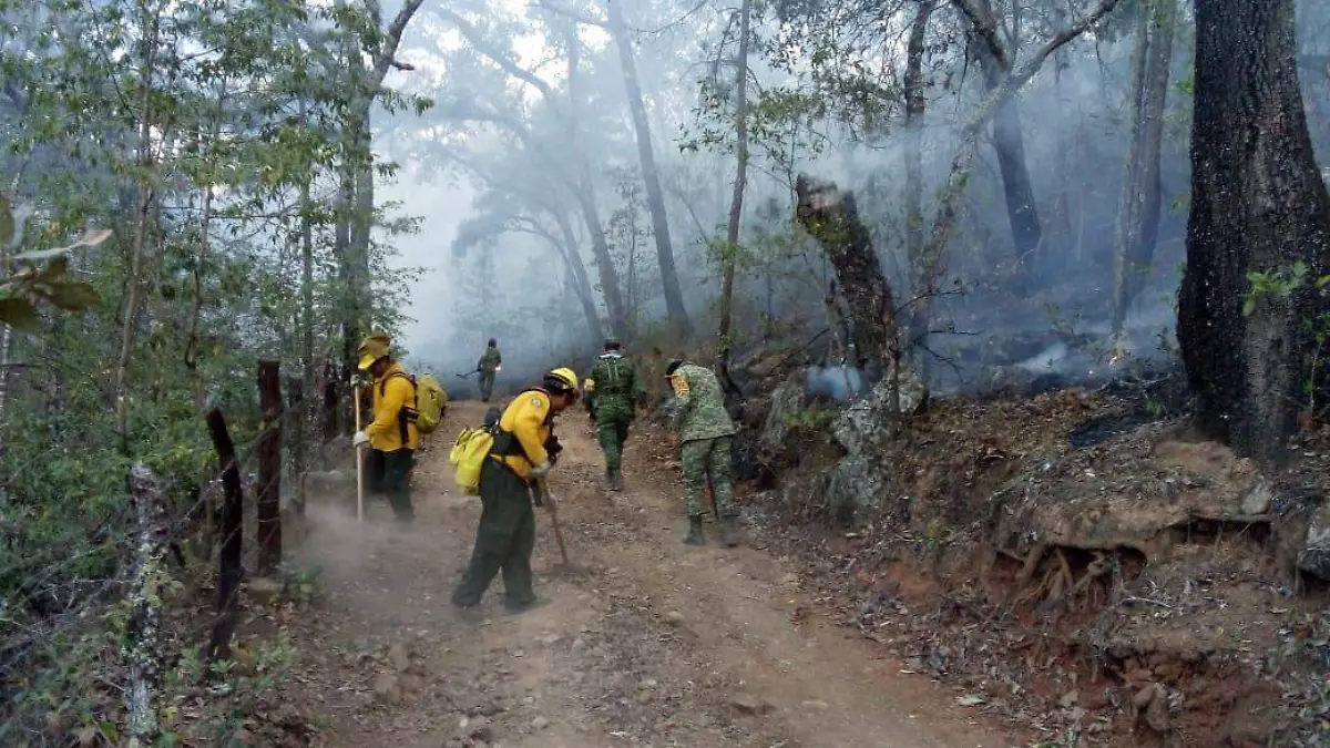 incendios