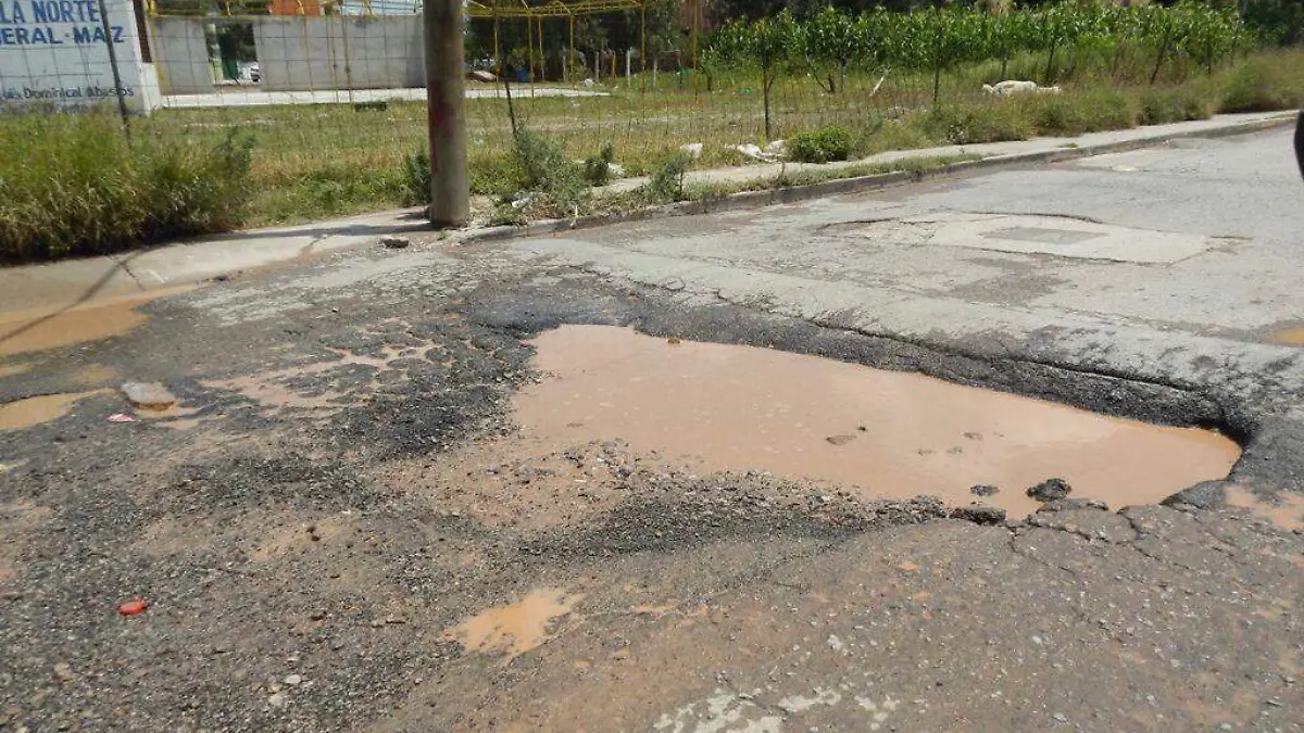 baches 
