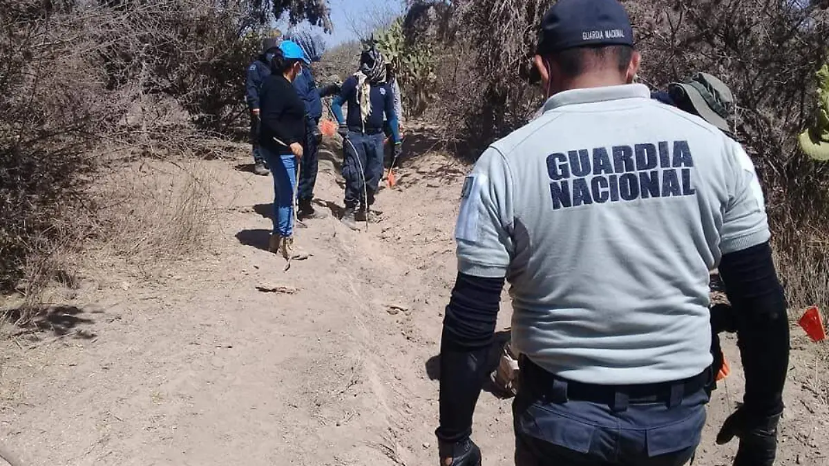 busqueda búsqueda de personas desaparecidos restos humanos 45