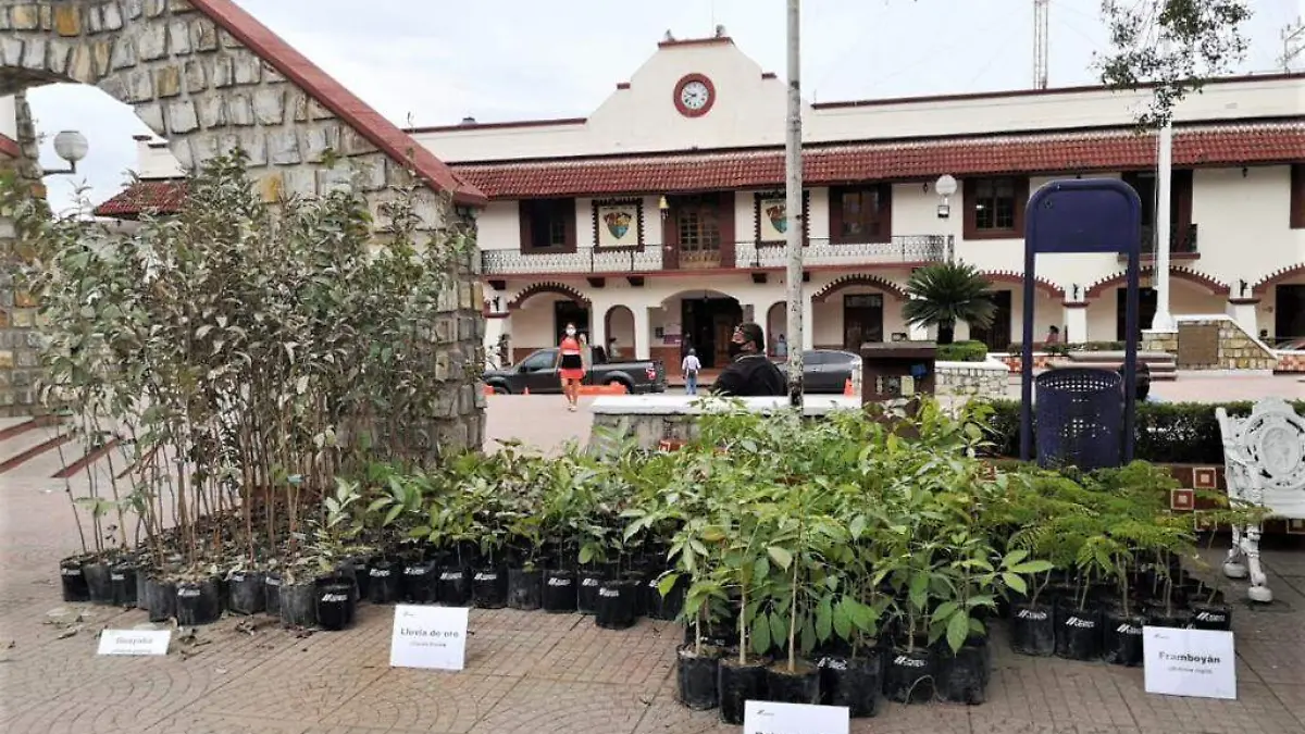 Centenares de donaciones a favor del entorno natural