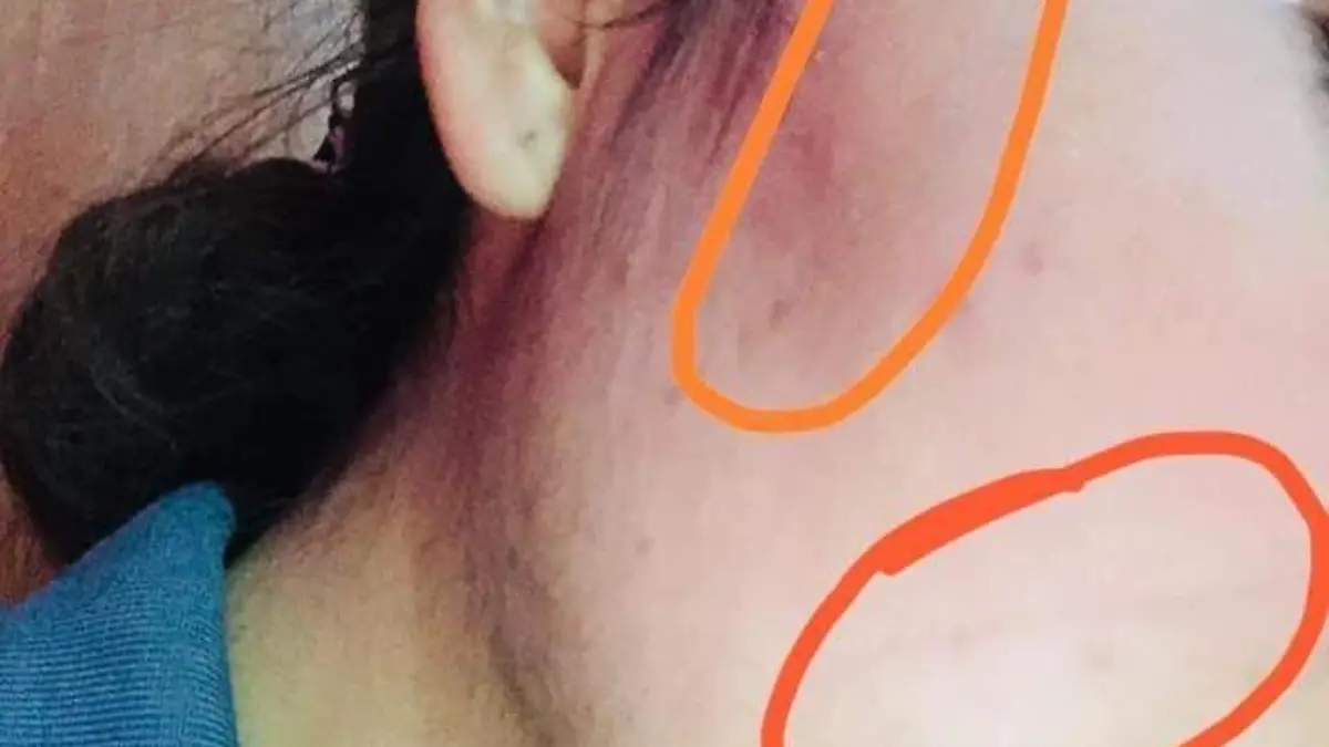 16B3ECCF-6C09-4F3B-A4D4-B952A7F5D21B