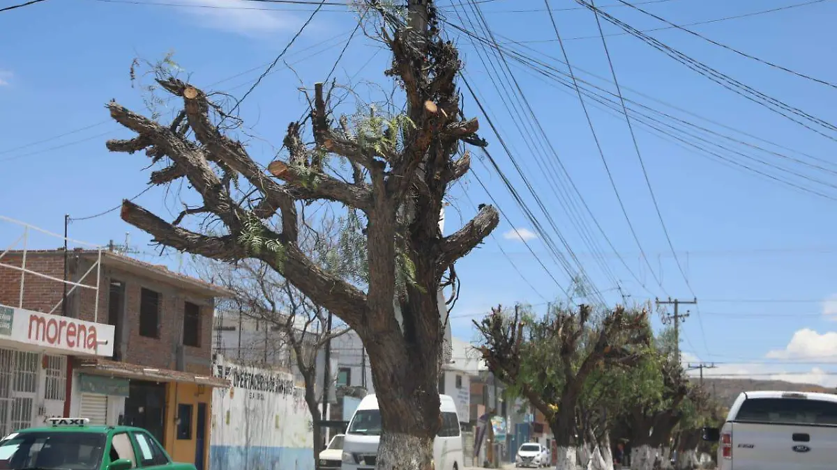 Tala o poda de árboles