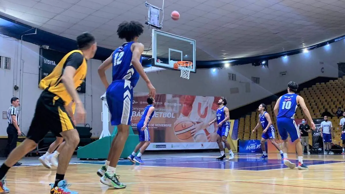 397a634e-527f-4bd5-8d29-316f2aefed2a