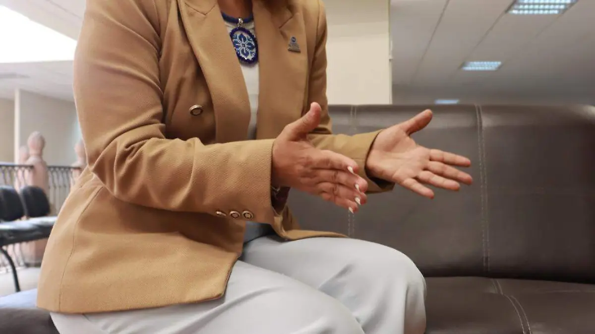 diputada Liliana Flores Almazán (2)