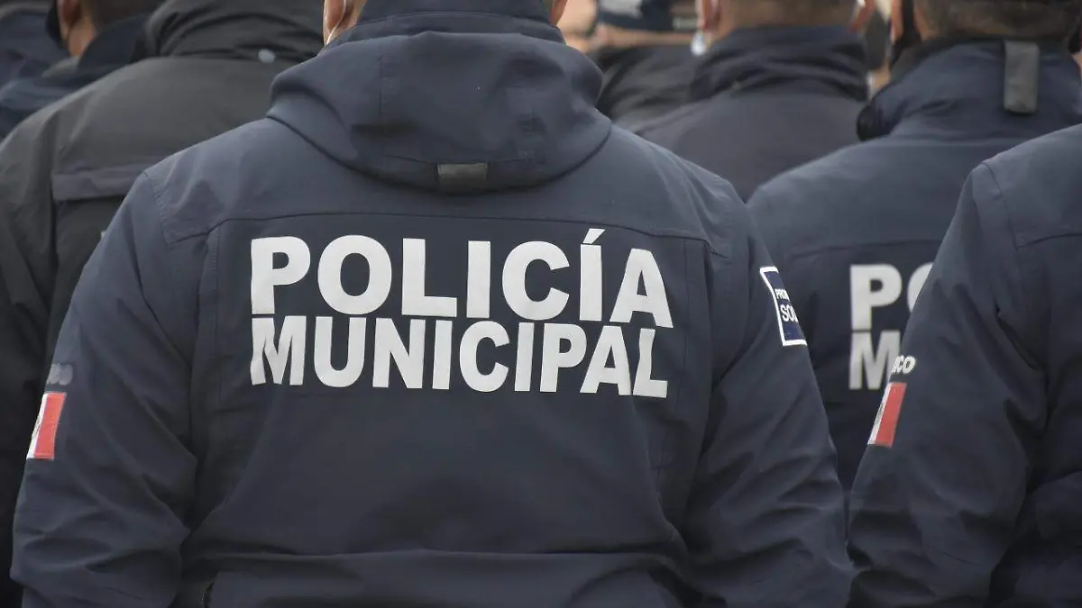 elementos municipales