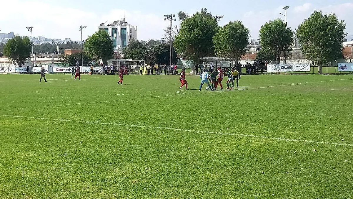 copa telmex