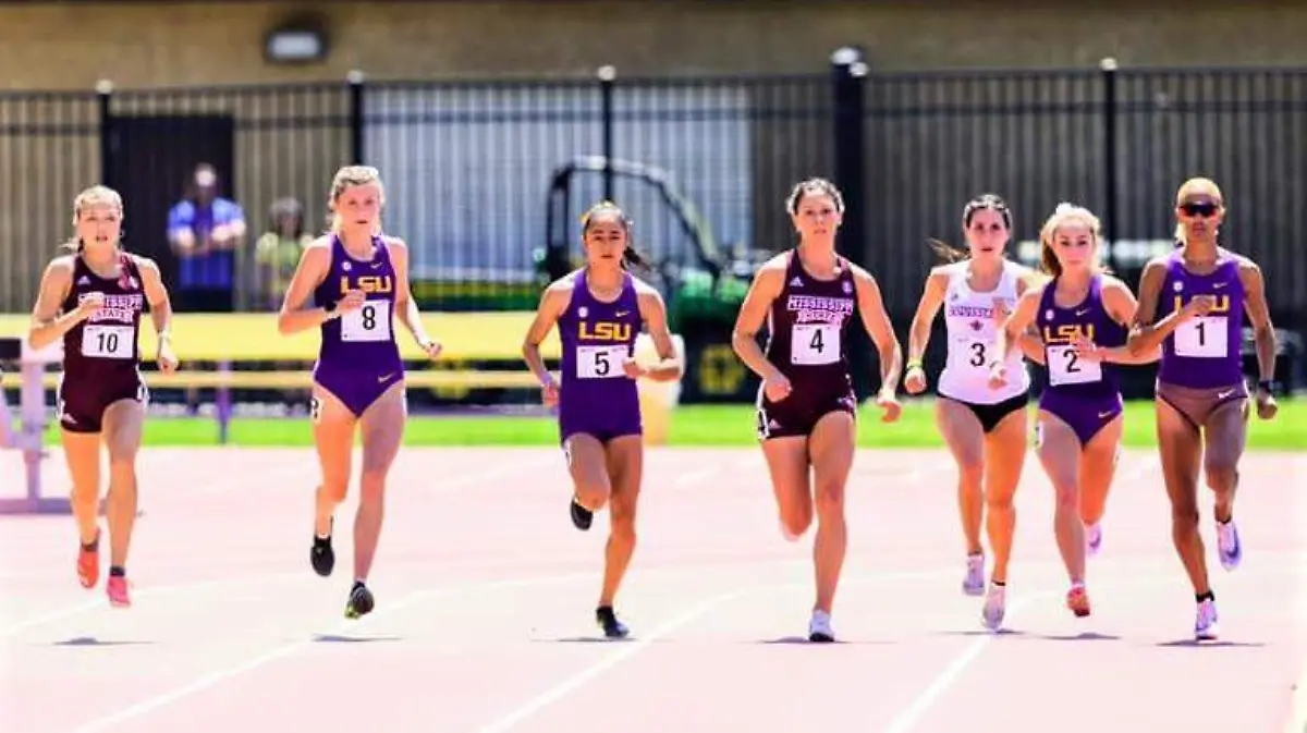 8aca314f-5a29-4b16-9df4-0f91a1c614e4