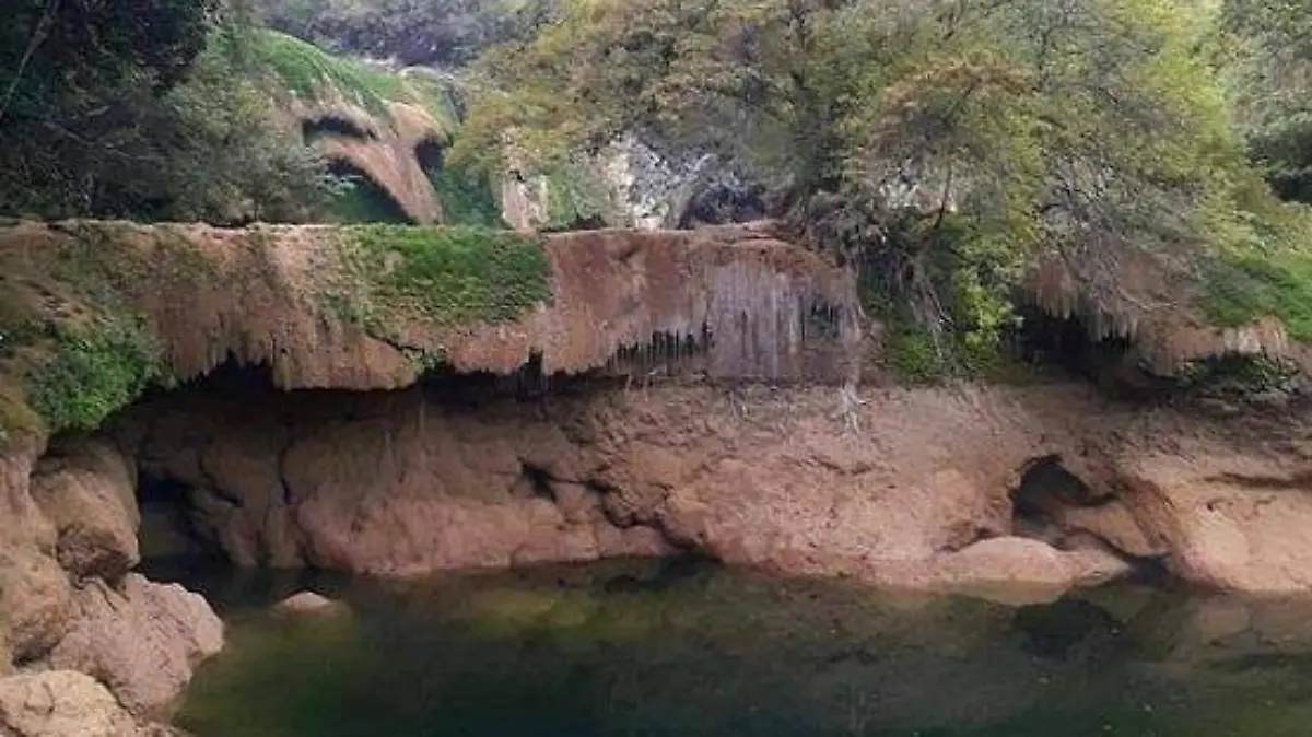 esto pasa en micos