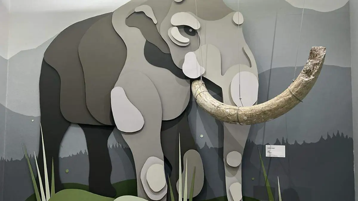 cossio museo