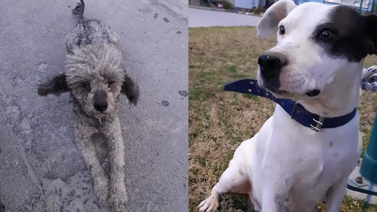 778683a8-acd0-4277-9a6c-2cdf8a708f9f