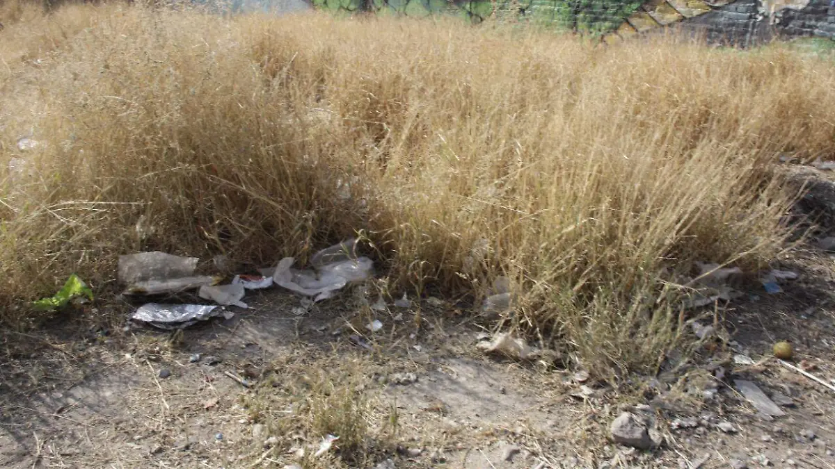 Baldíos Terrenos Basura  