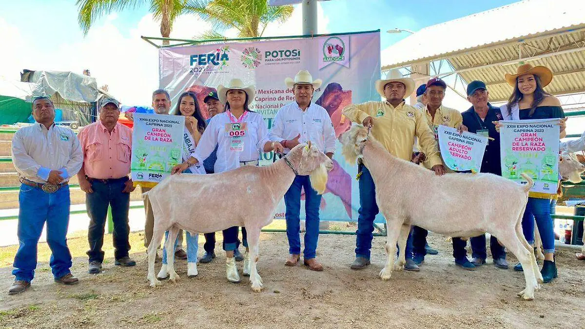 Exposición Nacional Caprina 2023 (4)