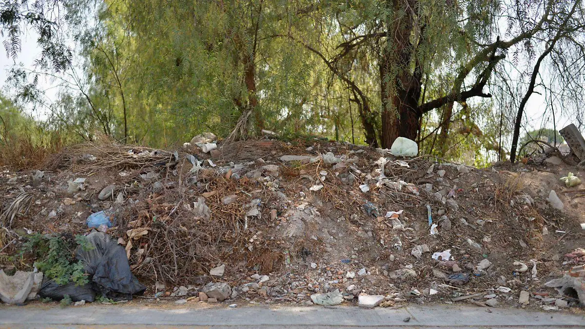 terrenos baldíos de Soledad  1