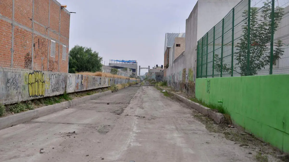 Colector de agua en cactus (4)