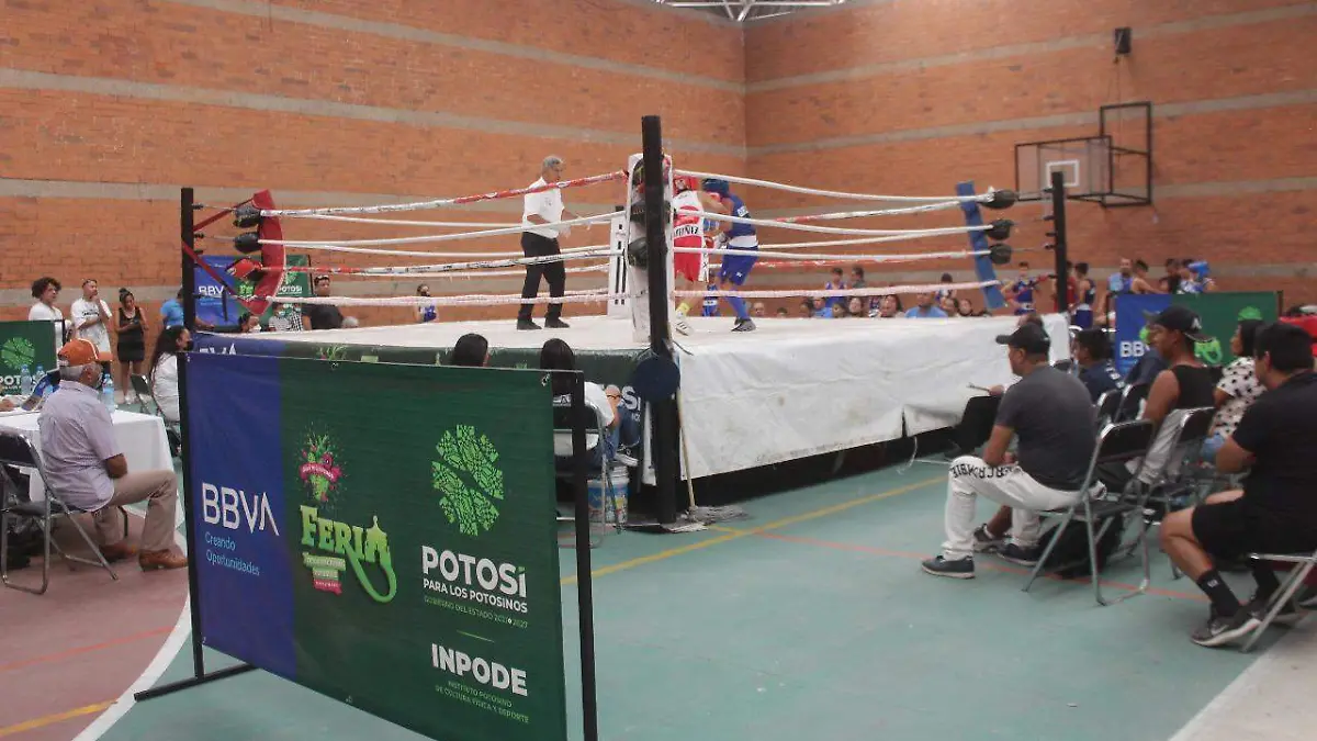 dd62c1fe-ab35-4b5e-9aff-a826b17e9fbc