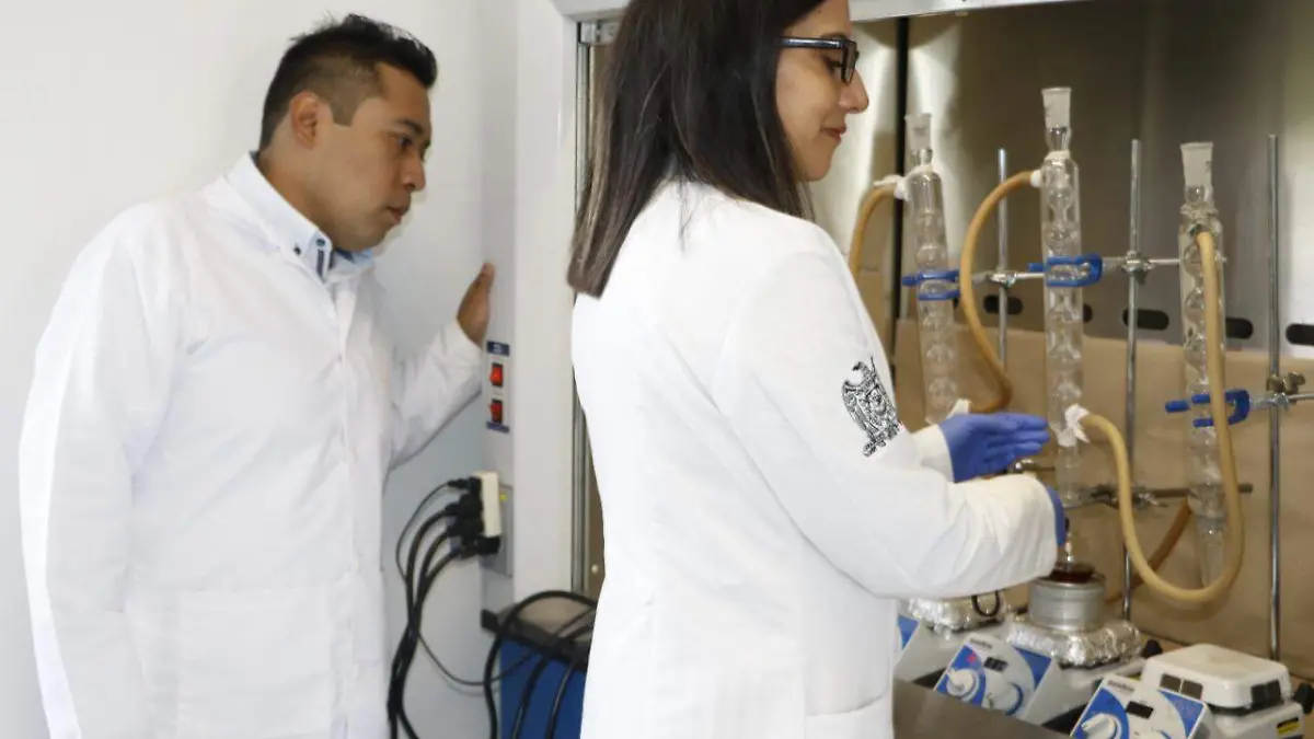 Investigadores del Ipicyt