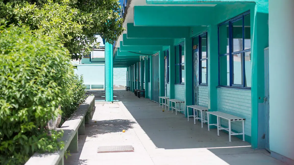 ESCUELA PUBLICA4