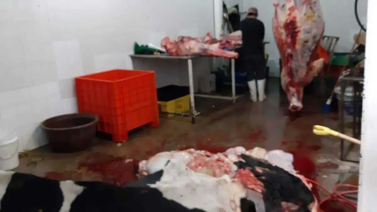 Clausuran rastro clandestino en colonia Cactus