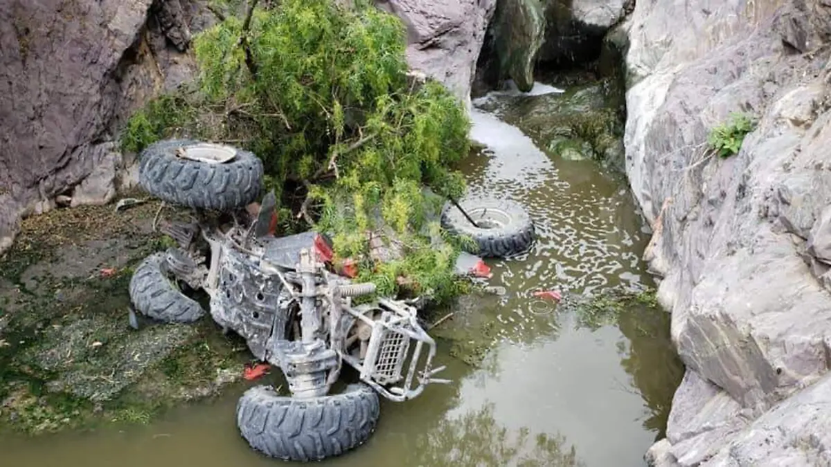 58586755_2267617686631263_6858336256519045120_n