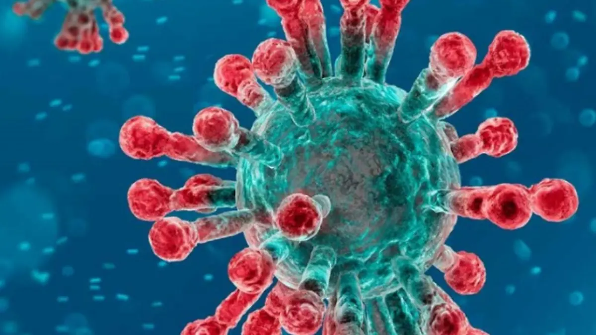 coronavirus