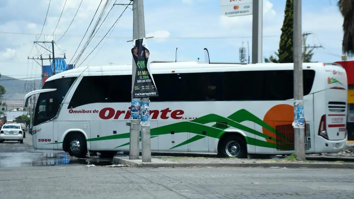 autobus autobuses TTP 4