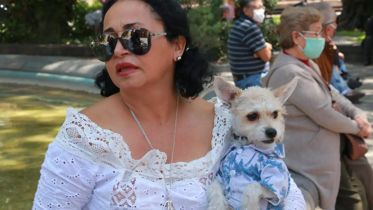 dueña de perros rescatados (3)