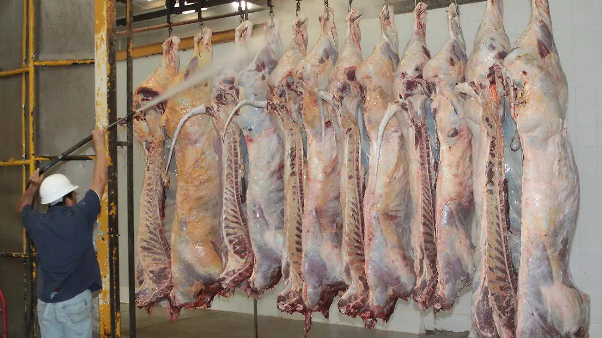 rastro cerdo carne carniceria