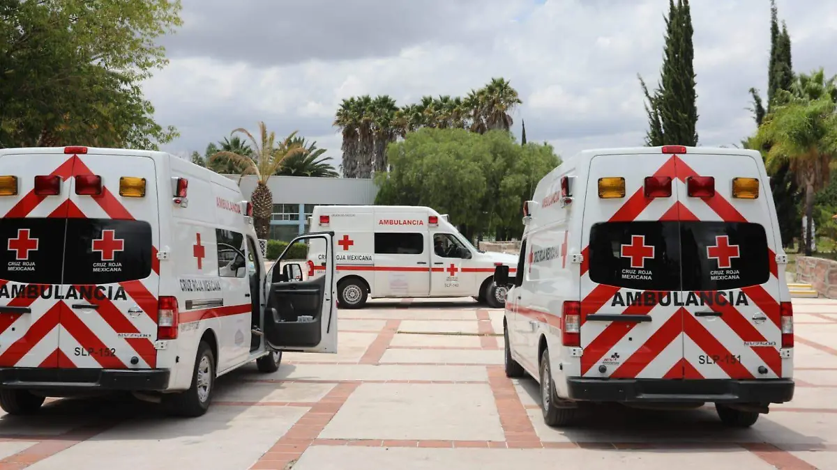 Voluntarios de la Cruz Roja 2