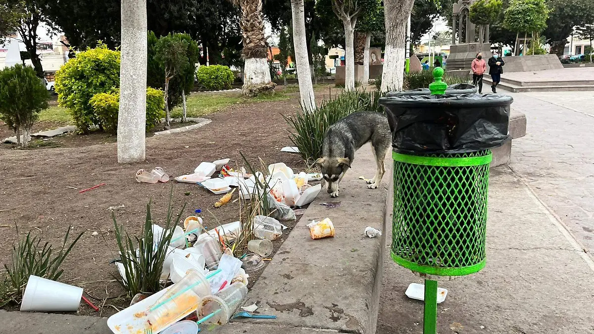 Basura en plaza de Soledad