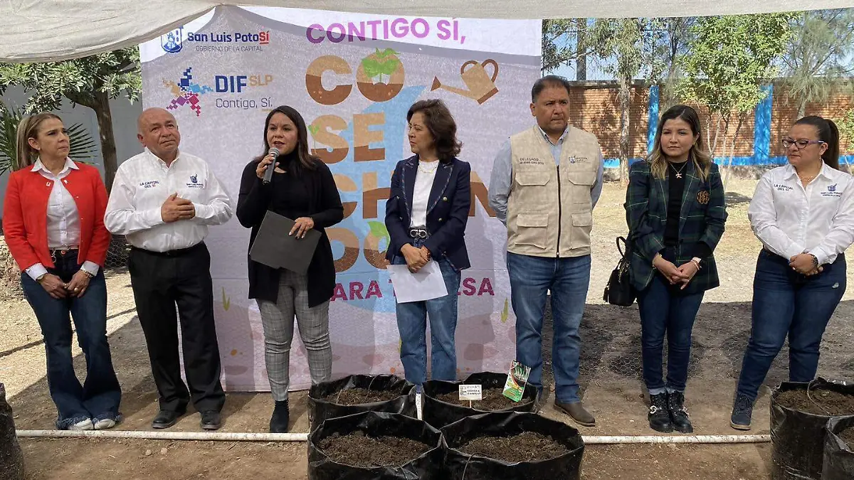 Cosechando para tu mesa (1)