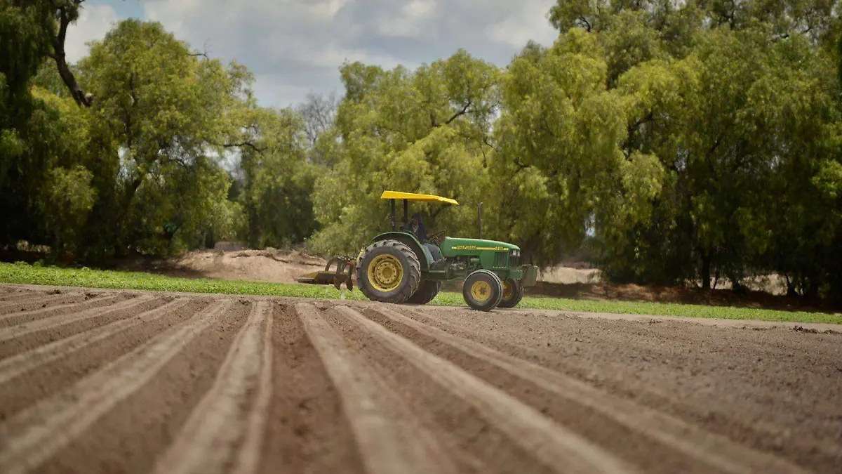 tractor manejo del campo agricola agricultores campos