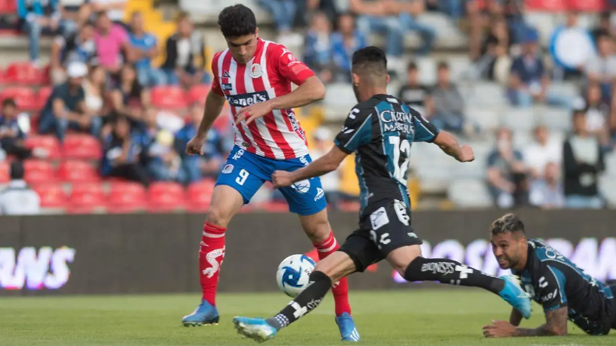 Nico ibañez gallos