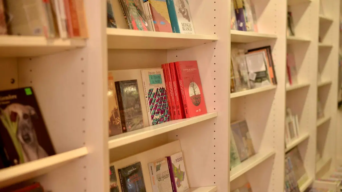 libros lectura biblioteca JO (4)