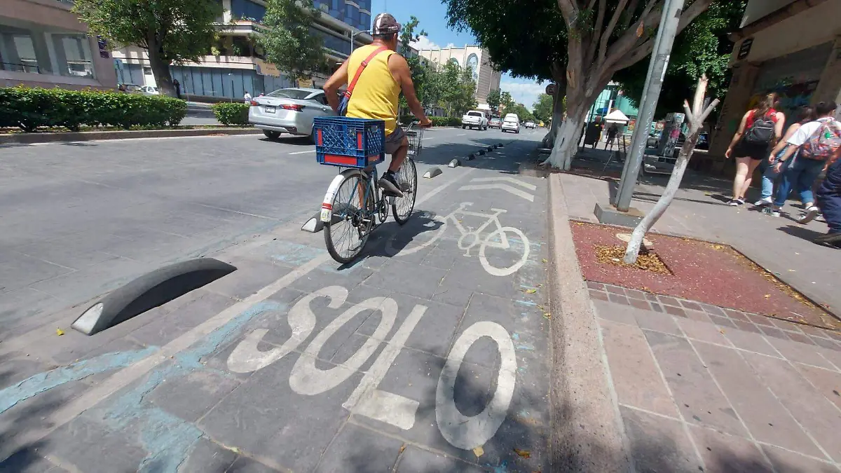 Ciclovía (1)