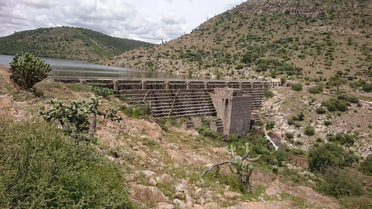 presa presas