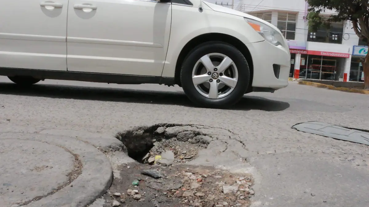 bache en av salk y la place (3)