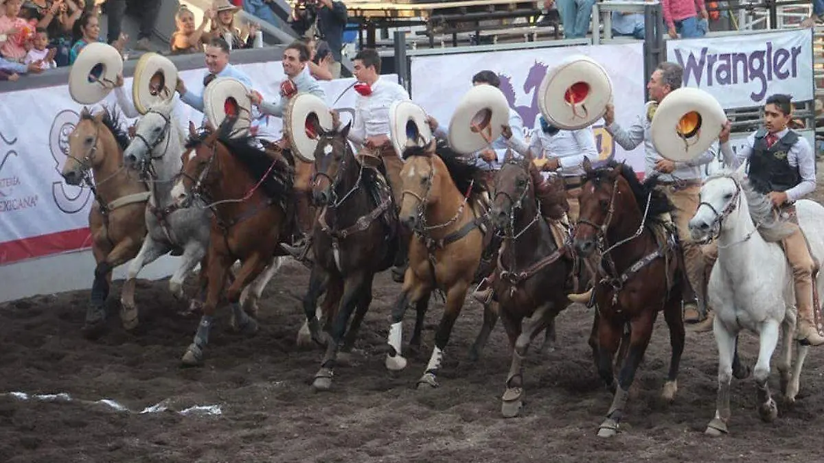 Plantilla - 2023-05-25T101526.194