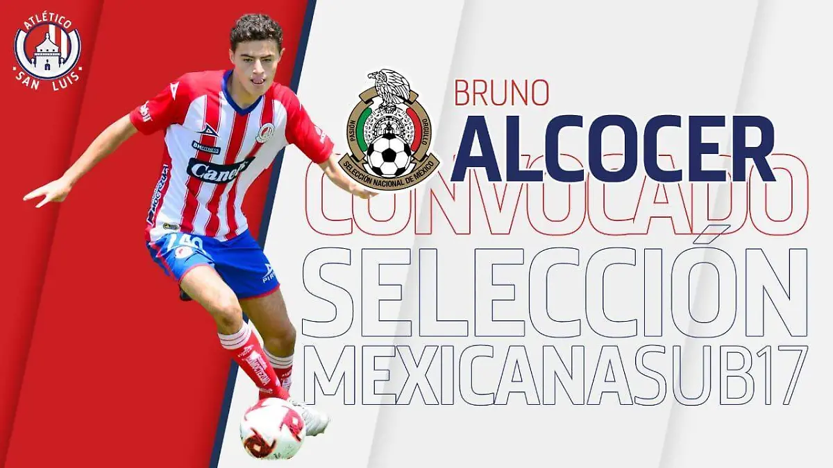 bb0630ff-af5d-4604-8fca-8d51952782c7