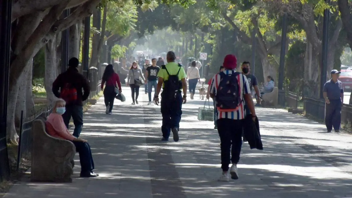 Calzada de Guadalupe 1