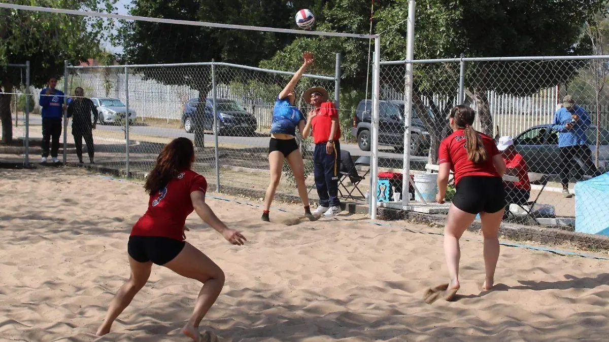 baef2474-874c-44d1-aa4d-d417b336874d