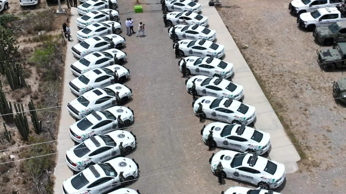 Nueva División de Caminos de la Guardia Civil Estatal  (10)