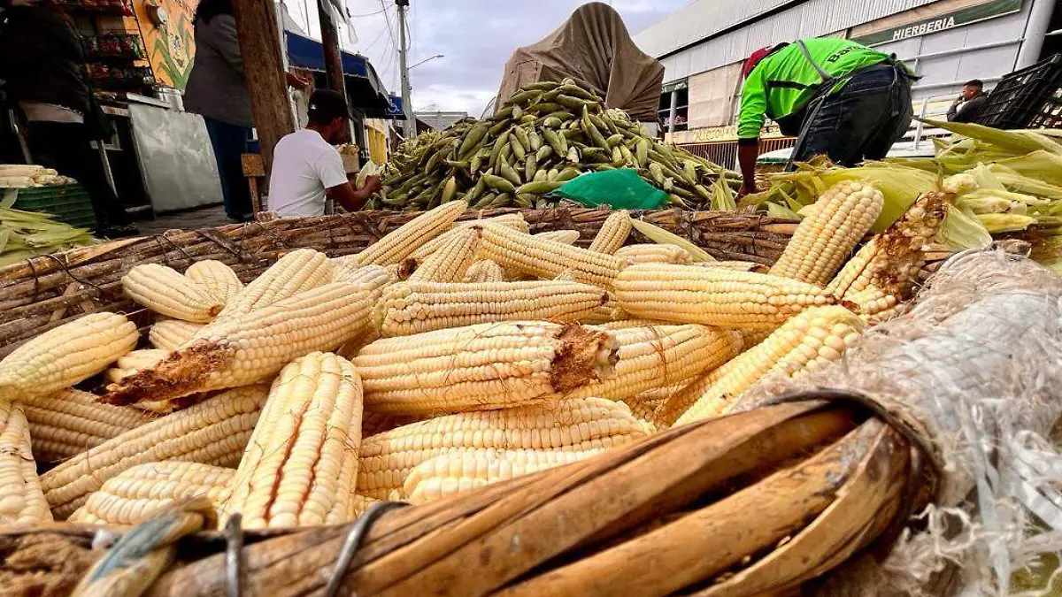 ma ruiz elotes elote maiz en vaso  (10)