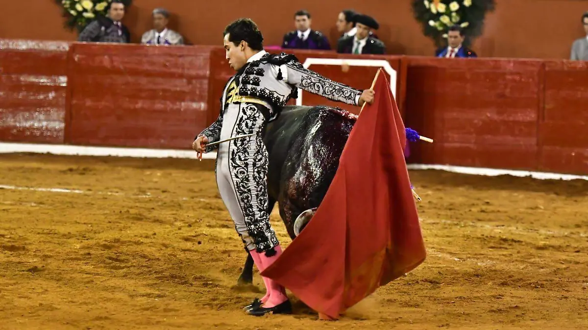 los toros (7)