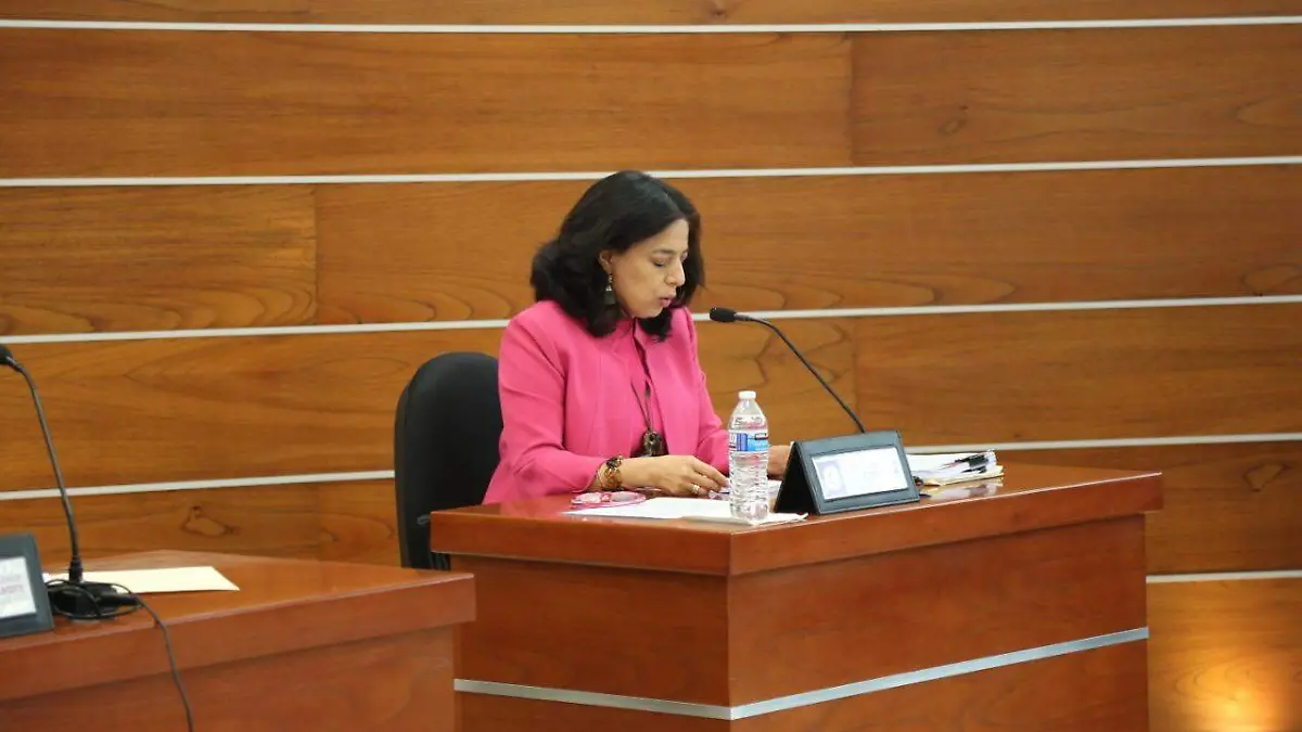 CEEPAC ceepac ´proceso electoral