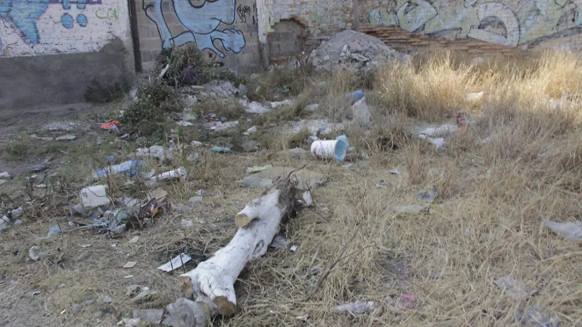 Baldíos Terrenos Basura  