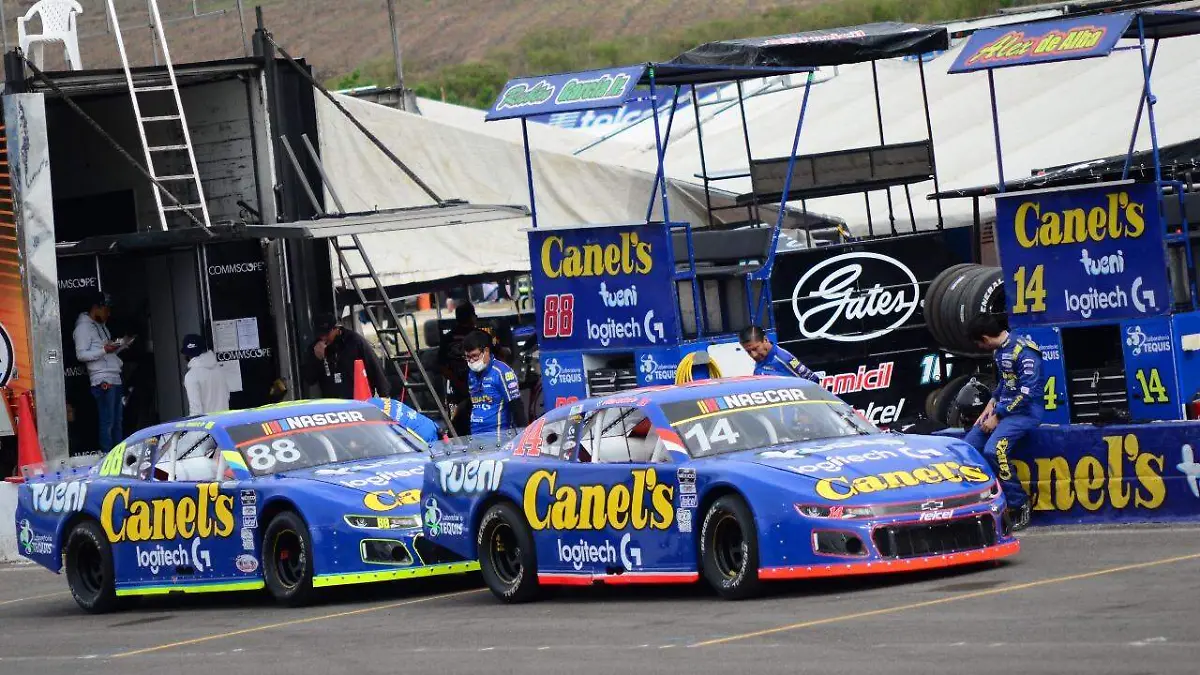 09795832-c042-49b5-b053-935d79a28bb7