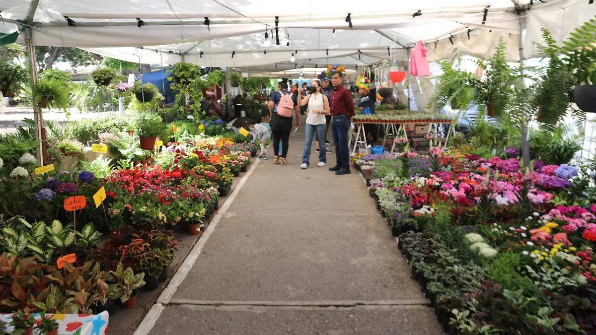 feria de las flores (3)