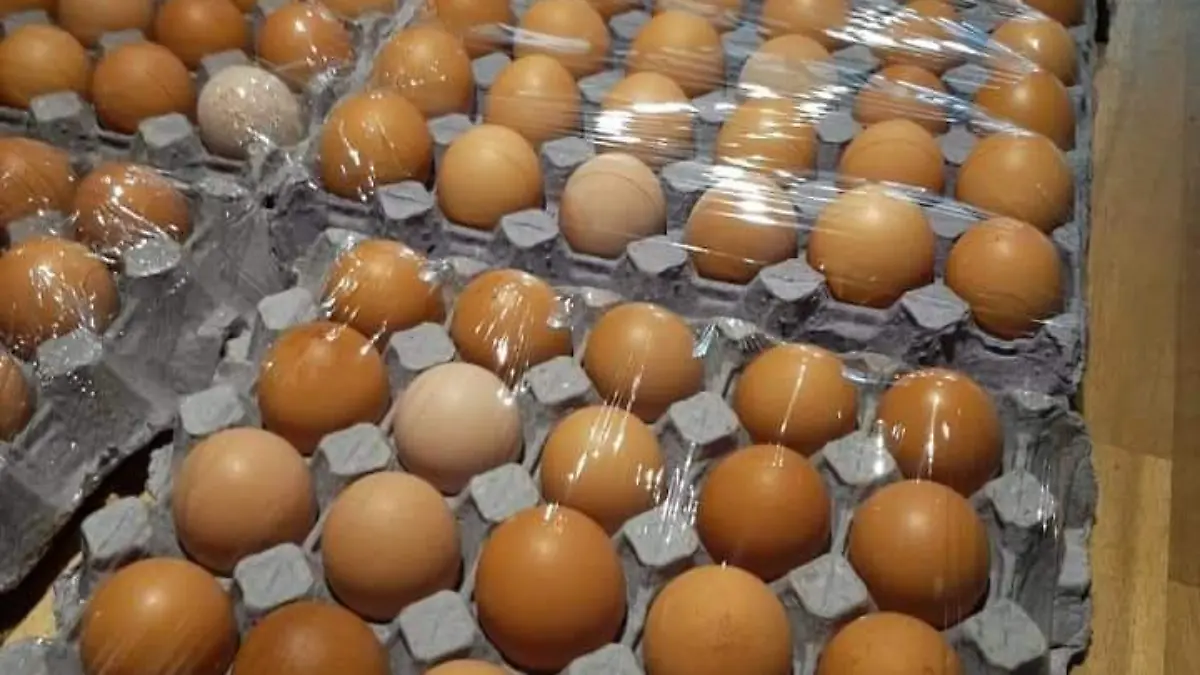 producción de huevo 