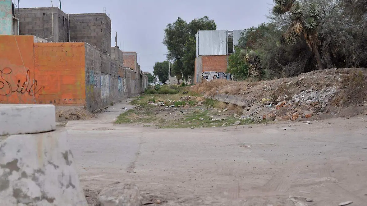 Colector de agua en cactus (3)